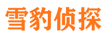 朝阳区市侦探调查公司